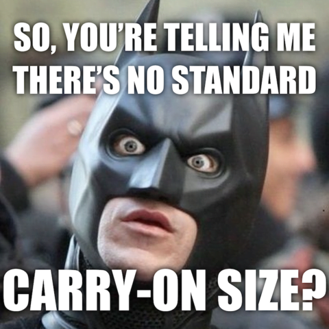 Shocked Batman carry on size funny