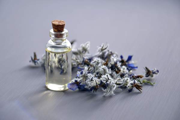 smell-nice-perfume-fashion-floral