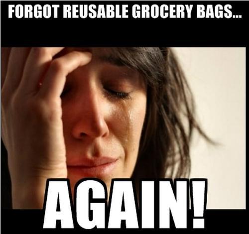 Forgot reusable grocery bags again meme