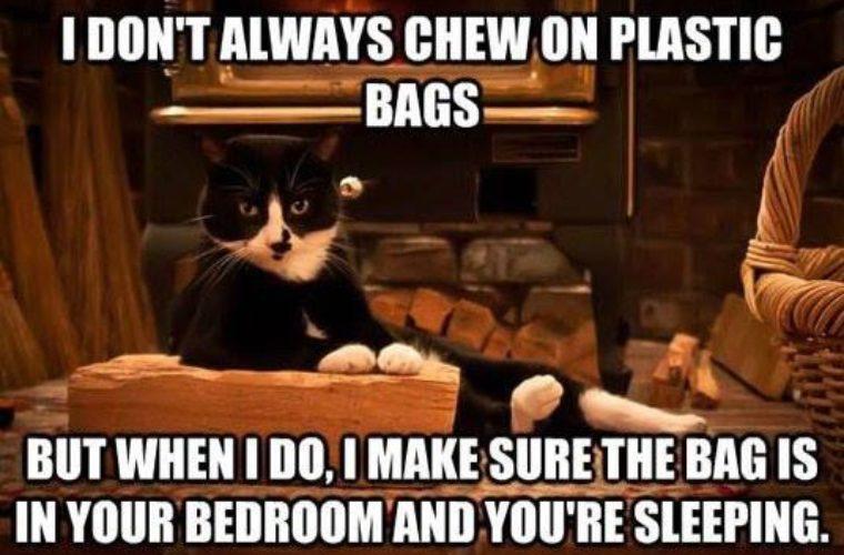 Cat Plastic Bags