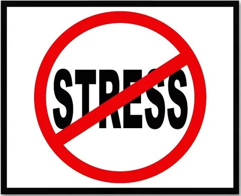 Precautions During Pregnancy - AmyandRose No stress precautions maternity