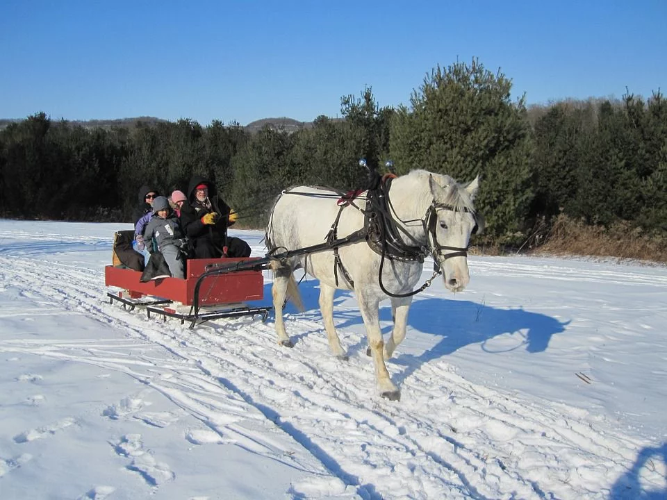 Sleigh Ride