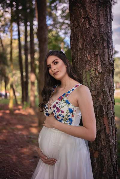 White Sheer Maternity Gown