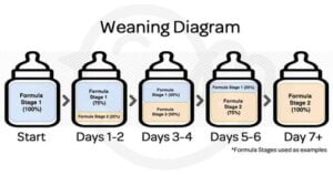 Switching Baby From Breastmilk To Formula 2024 AmyandRose   Image 149 300x158 