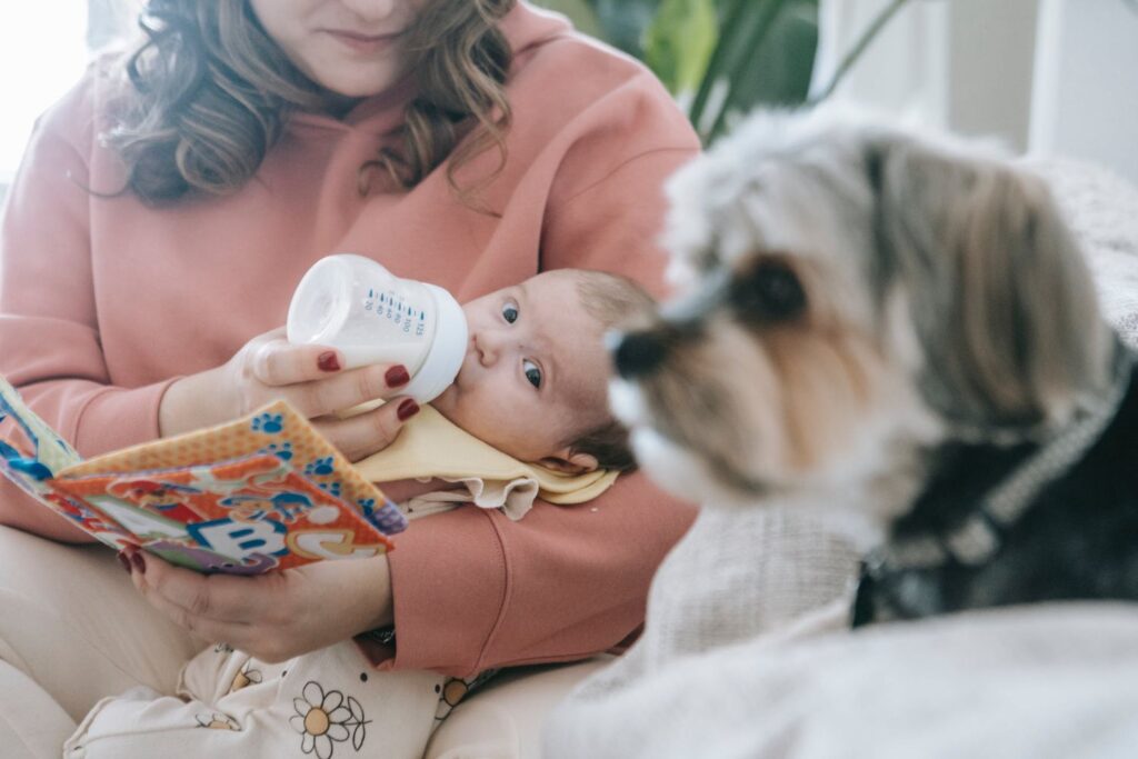 Introducing Dog to Newborn Baby