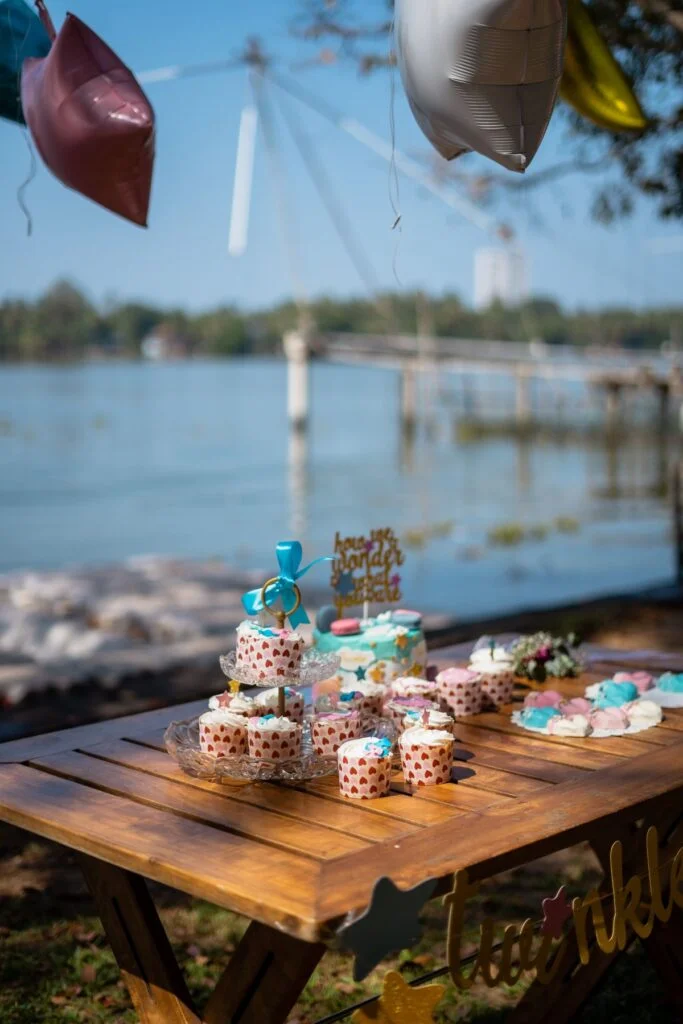 Baby Shower Venues - AmyandRose Baby Shower Venues - Lake